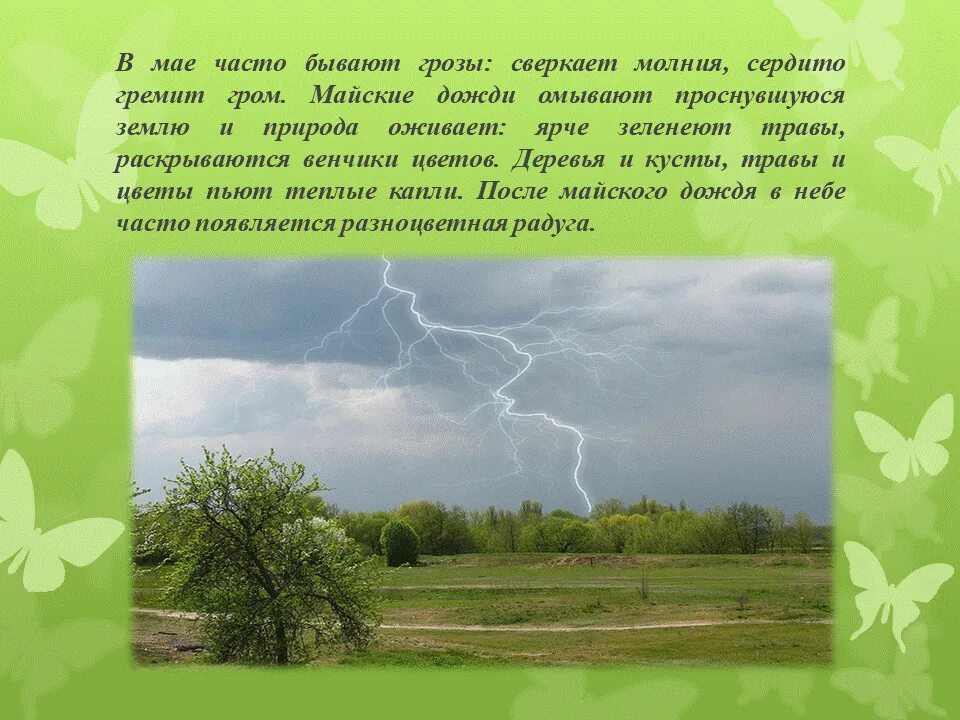 Лес после грозы. Природа в произведениях толстого. Набоков гроза. После грозы рассказ. Рассказ о явлении природы.