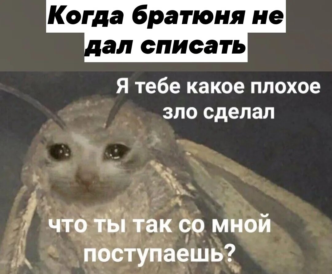 Плохо скидывает