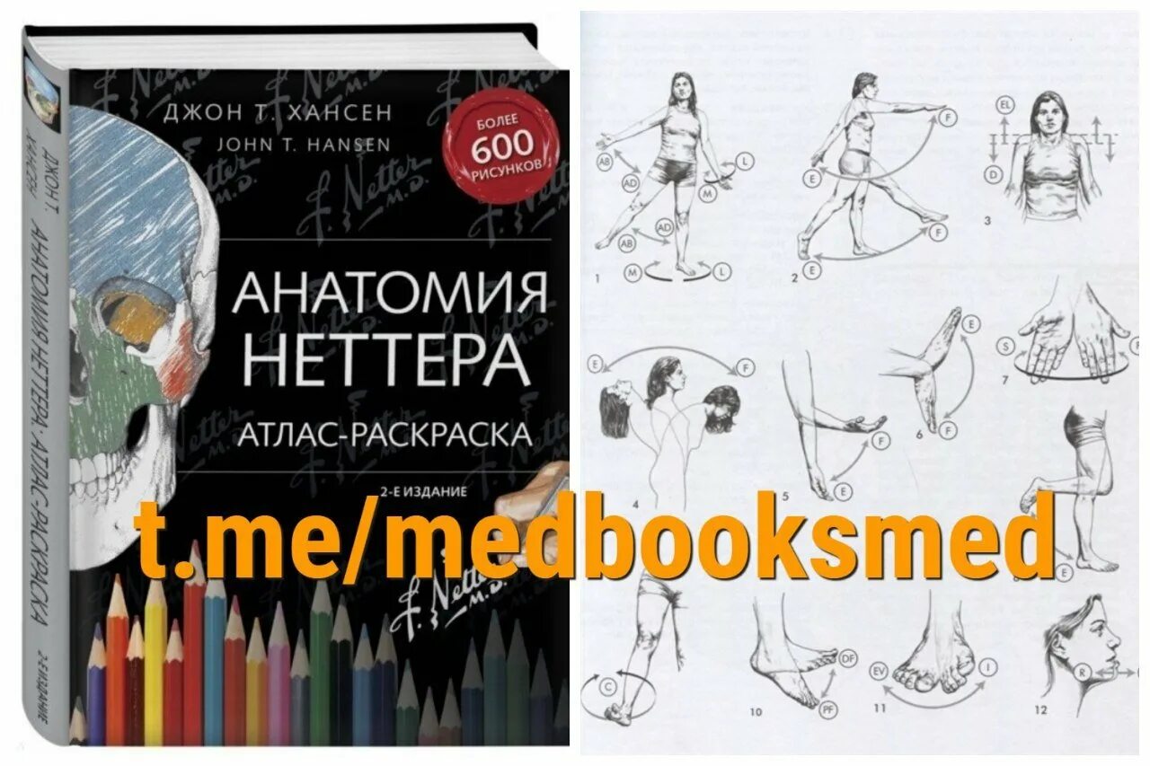 Атлас раскраска неттера. Джон хансен анатомия неттера. анатомия неттера атлас-раскраска. джон хансен анатомия неттера атлас-раскраска. атлас раскраска.