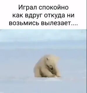 Вдруг откуда ни возьмись