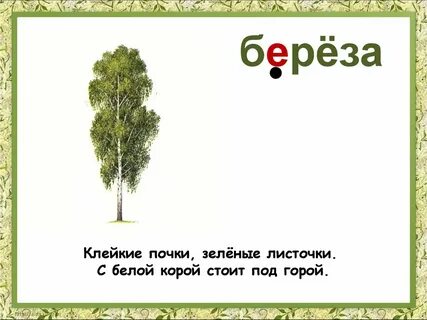 Загадки словарные слова