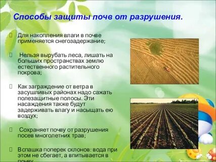Для защиты почвы от разрушения человек