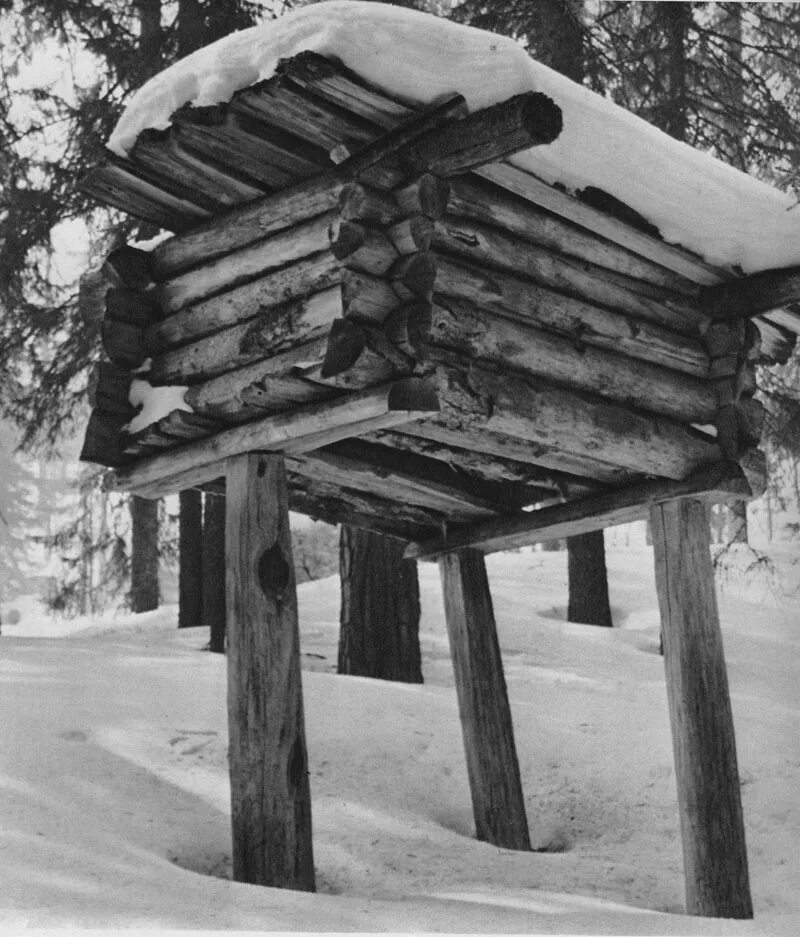 лесной лабаз. хантыйский лабаз. лабаз эвенков. хантыйский лабаз. хантыйский лабаз.