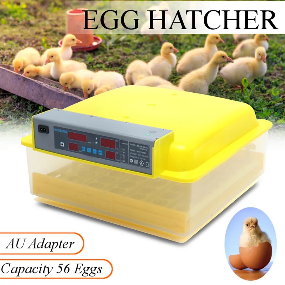 Цифровые инкубаторы купить. Инкубатор китайский на 110 яиц. Инкубатор для яиц Blue Star 360. Китайские инкубаторы для 12 яиц автоматические. Инкубатор цыплят утят.