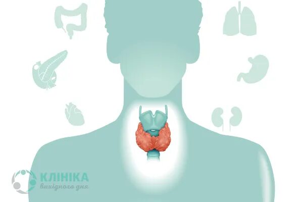Слово гипертиреоз. Гипертиреоз картинки для презентации. гипертиреоз презентация.