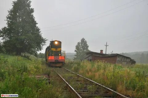 Пункт 311