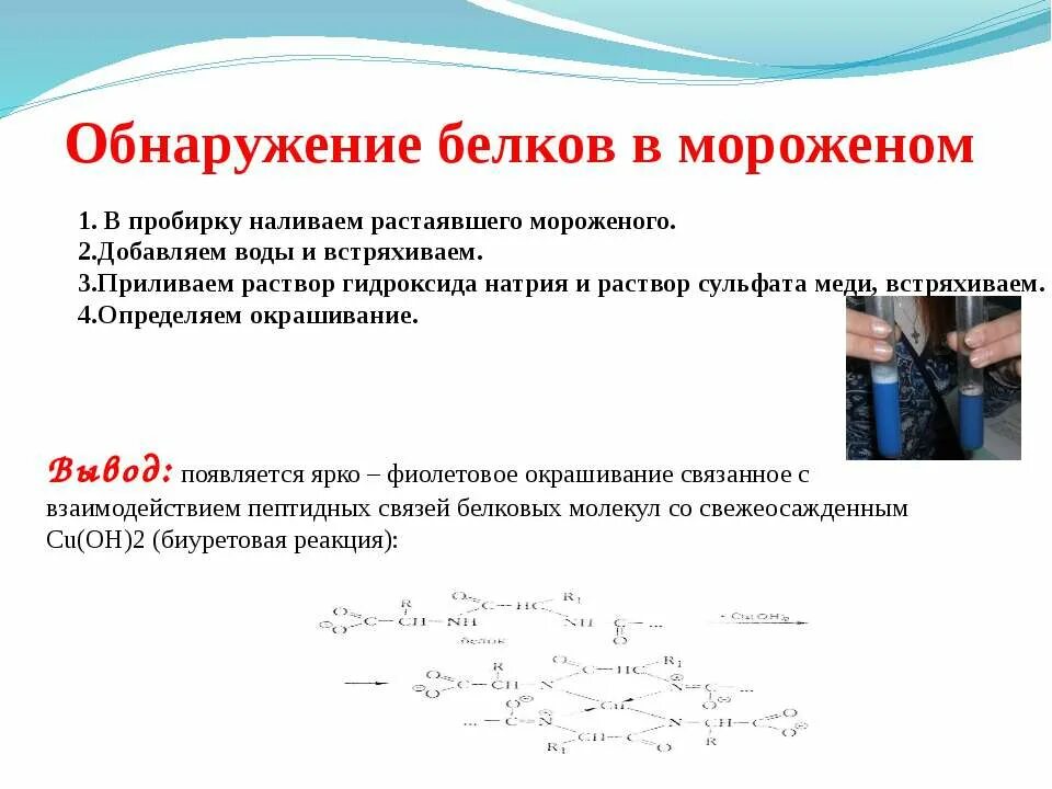 Для обнаружения белков используют. Обнаружение белков. обнаружение белков в мороженом. реакции обнаружения белков. обнаружение белков в растворах.
