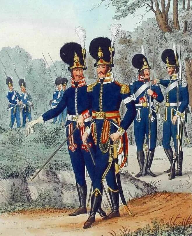 Швеция в наполеоновских войнах. Форма шведской армии 1808. Шведская пехотаехота в 1809. Наполеоновские войны армия швеции мундиры. Гренадёр палка шведскрй лейб гвардии.