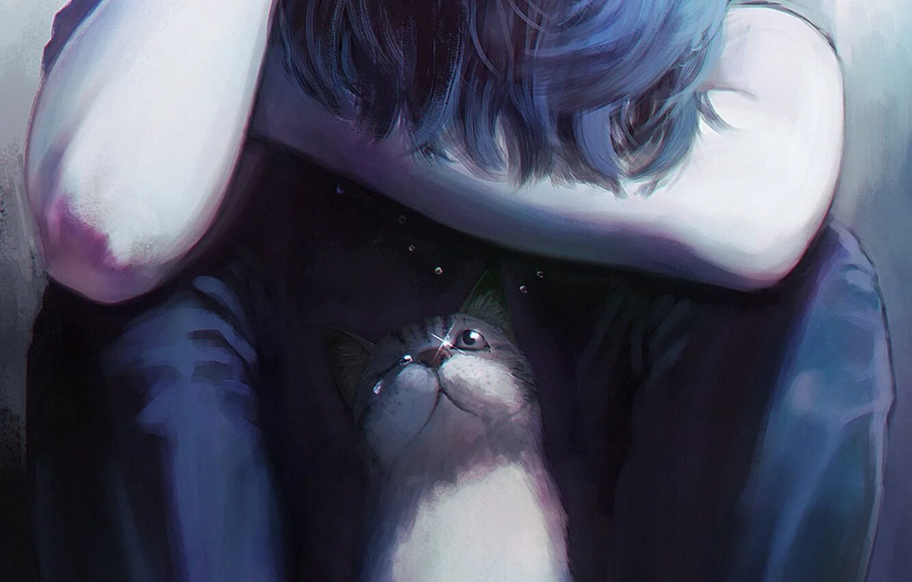 Sad cat animation. Sad cat animation