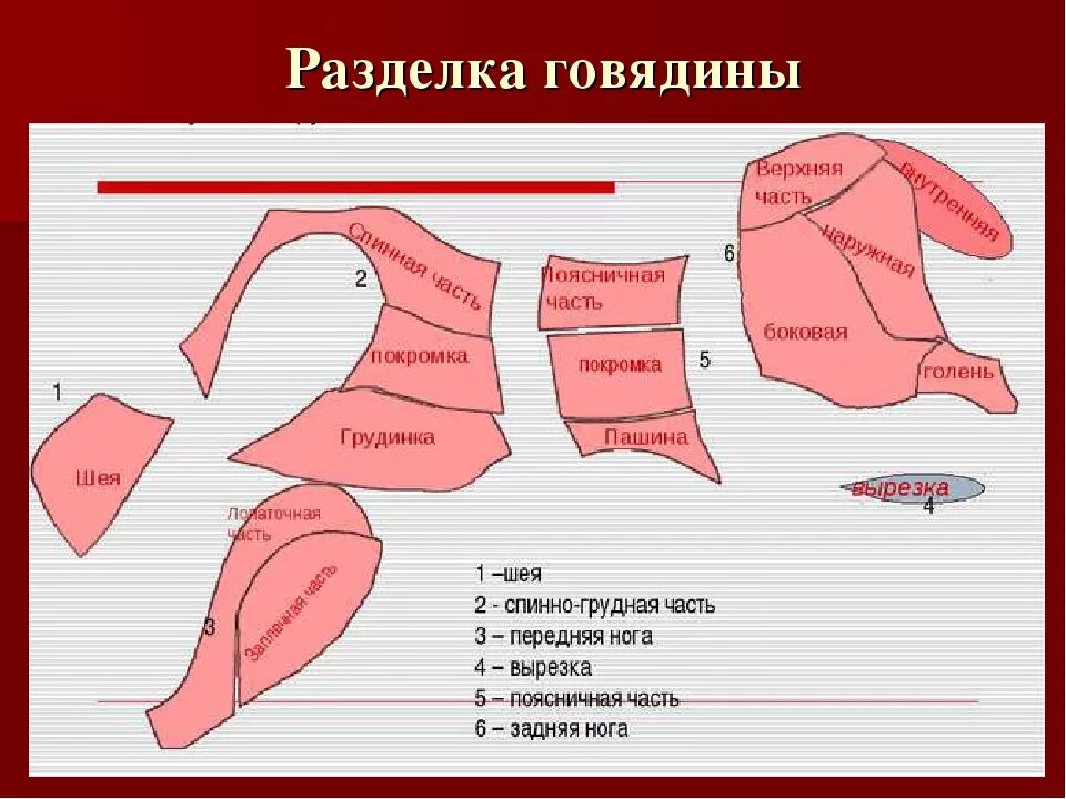 Разделка говядины схема. Хема разделки говядины. Схема разруба говядины. Схема разруха говядины. Нежирная часть говядины