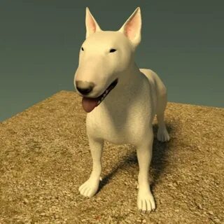 Dog 3d animation