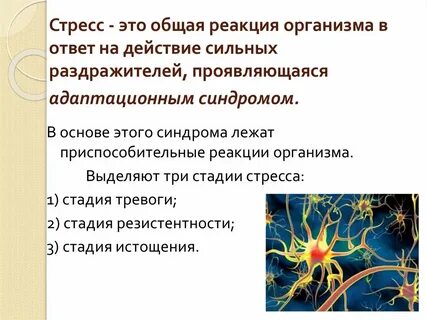Инфекция реакция человека