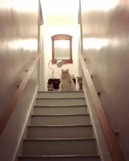 Get home late