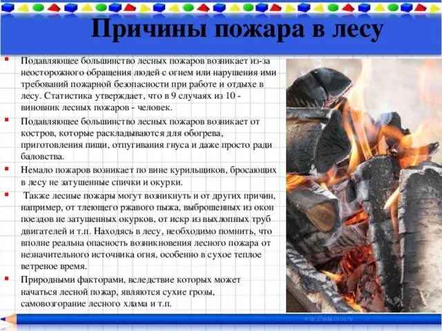 Кратчайшее содержание пожар. Поведение в очаге пожара. план поведения при пожаре в лесу. план при лесном пожаре. при лесном возгорании необходимо.