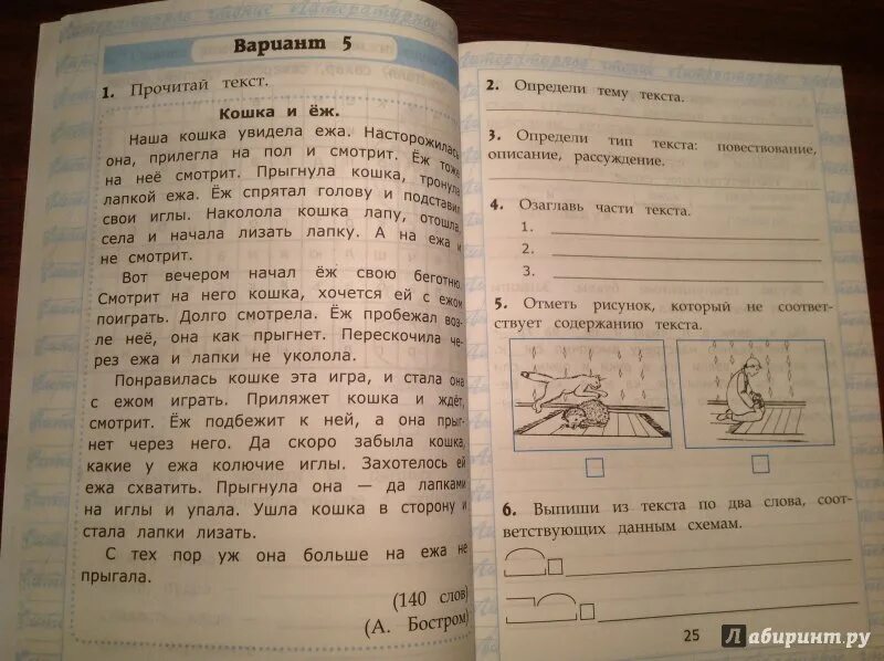 Вариант 7 4 класс работа с текстом