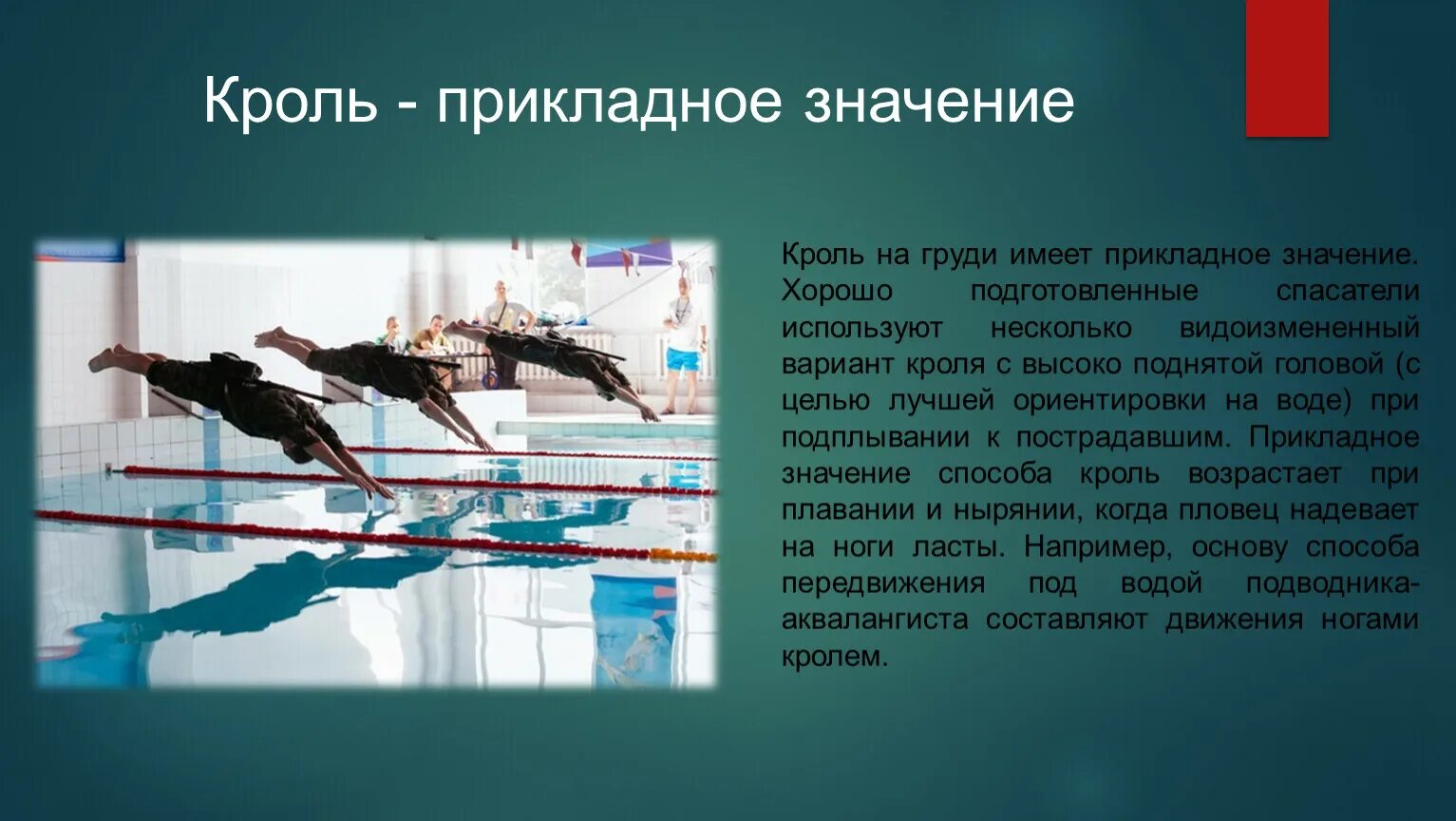 Что такое кроль. Прикладное значение кроля на груди. Кроль на груди. Плавание кролем на груди. Техника плавания кролем.