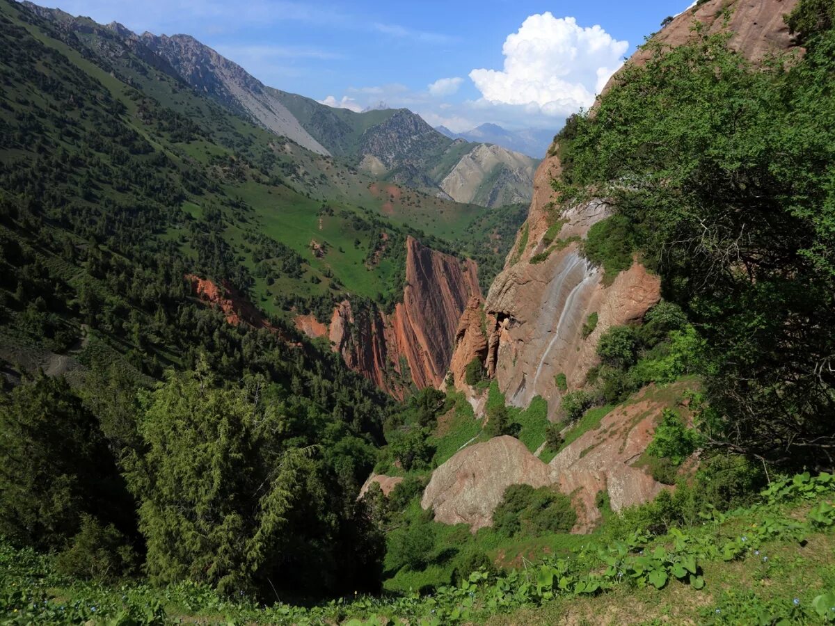 Барскоон киргизия иссык куль. Ущелье ала-арча киргизия. Ущелье алтын арашан. Ала арча киргизия. Долина арашан киргизия.