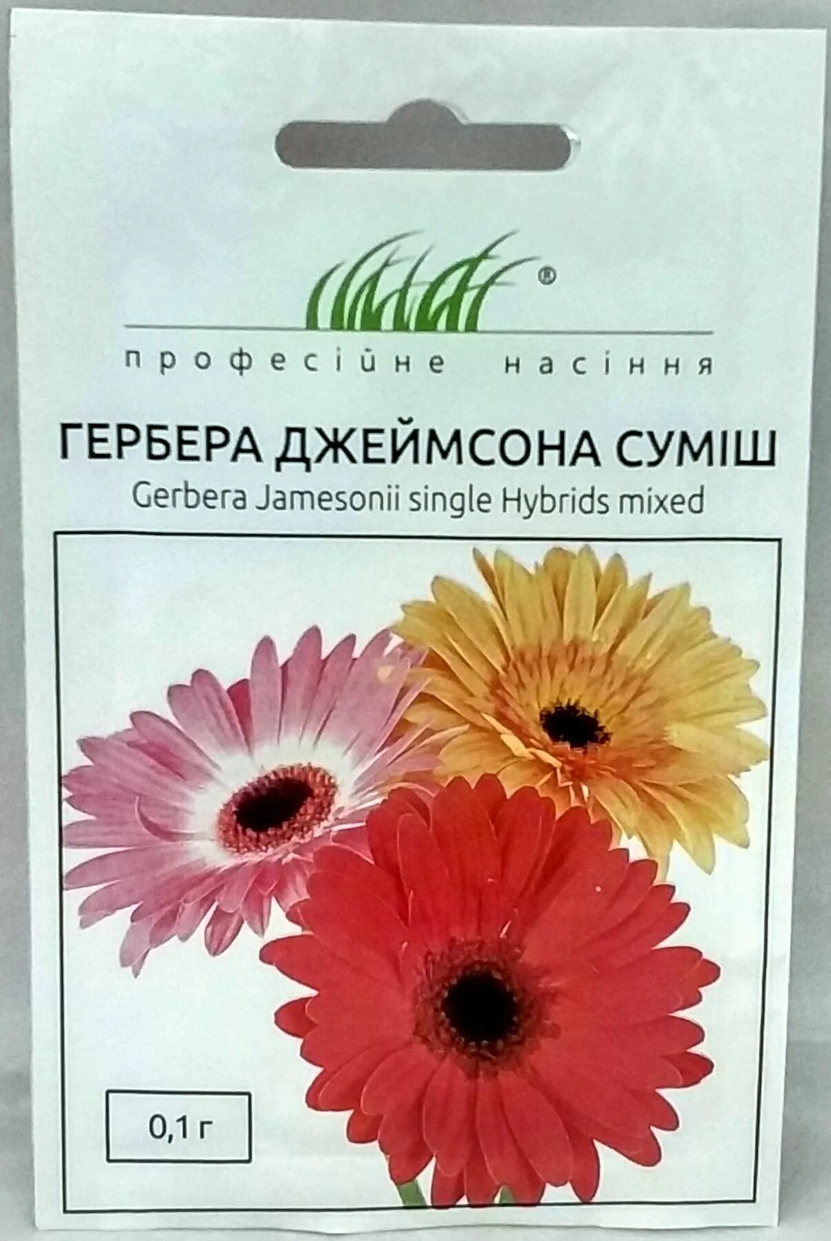 Гербера джеймсона, смесь окрасок. Гербера джемсона садовая. Семена герберы джемсона. Семена герберы джемсона. Гербера джемсона комнатная.
