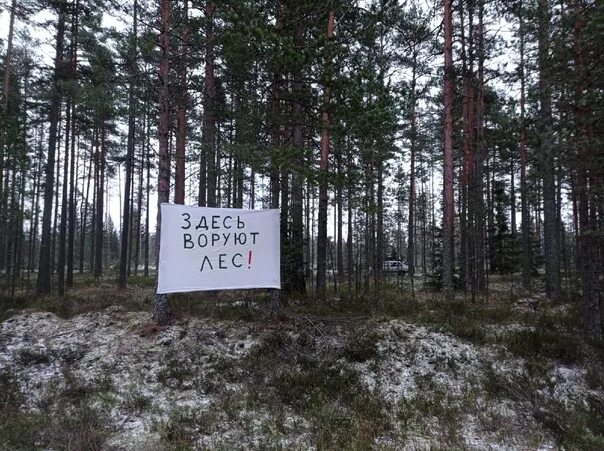 Высокинское озеро. Озеро высокинское лен обл. Высокинское озеро ленинградская область на карте. Высокинское озеро ленинградская область рыбалка. Высокинское озеро.