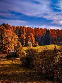 25 сентября октябрь