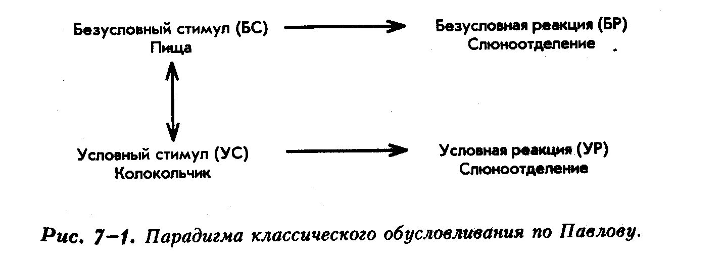 Стимул реакция пример