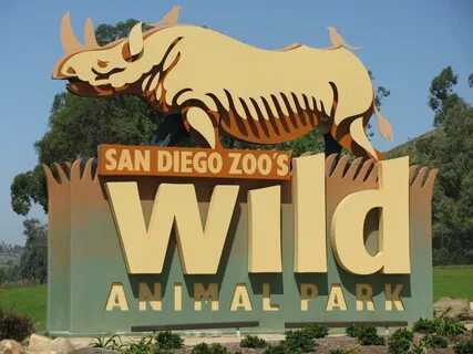 Animal visit