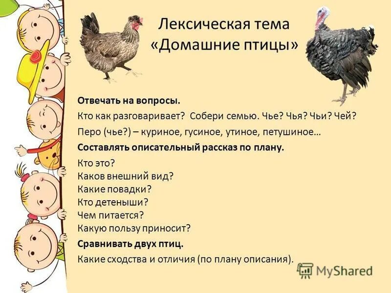 Тема недели домашние птицы. Лексическая тема домашние птицы. Задания по теме домашние птицы. Домашние животные и птицы лексическая тема.