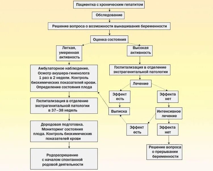 Тактика ведения беременных при вирусных гепатитах. Тактика ведения беременности при гепатите в. Схема терапии вирусного гепатита с. Тактика ведения пациентов с хроническим вирусным гепатитом в. Родила с гепатитом с