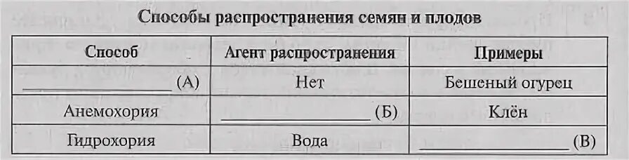 Гидрохория тип распространения семян. Способы распространения плодов и семян таблица. таблица способы распространения семян 6 класс. гидрохория примеры. гидрохория примеры растений.