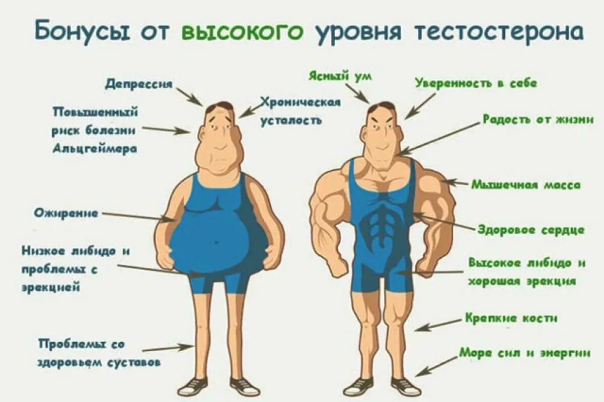 Как повысить тестостерон после 60. Vivamen spray 30 ml. кпк повысить тестестерон. как повысить тестостерон. высокий кортизол.