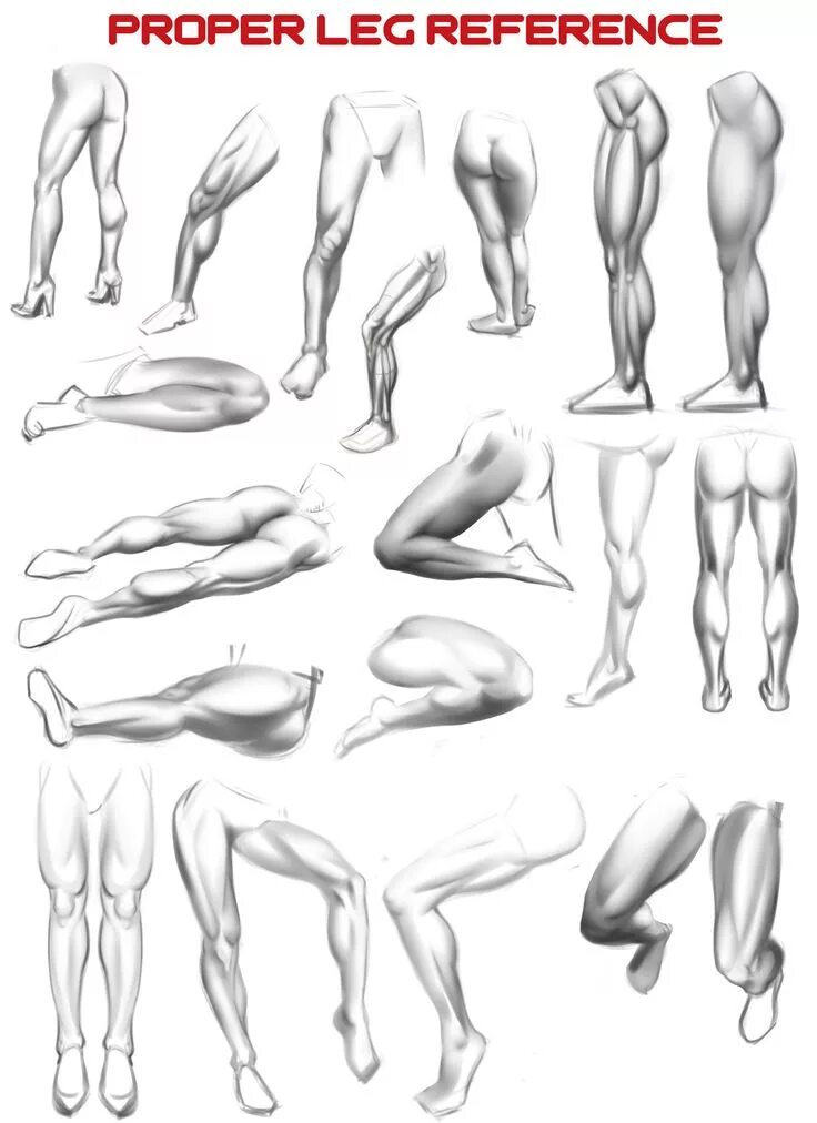 Leg reference
