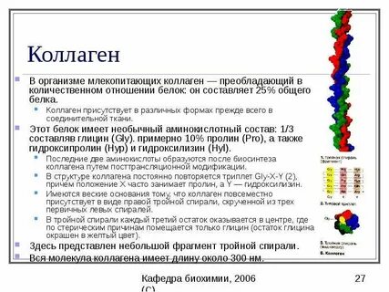 Структуры в которых содержится белок коллаген