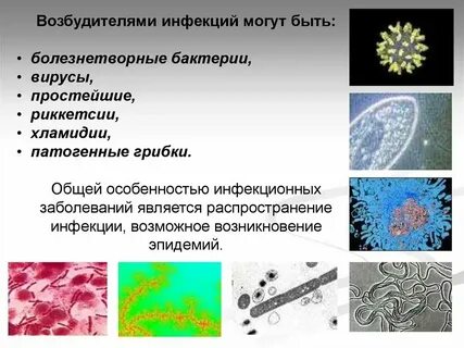 Патогенные вирусы вызывают