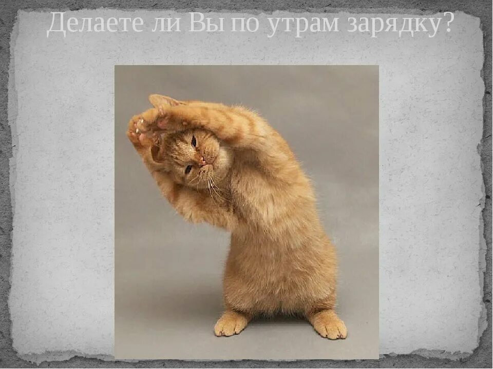 Встал утром на зарядку. Утренняя зарядка прикольные. Зарядка смешные картинки. Юмор про зарядку по утрам. Утренняя зарядка прикол.