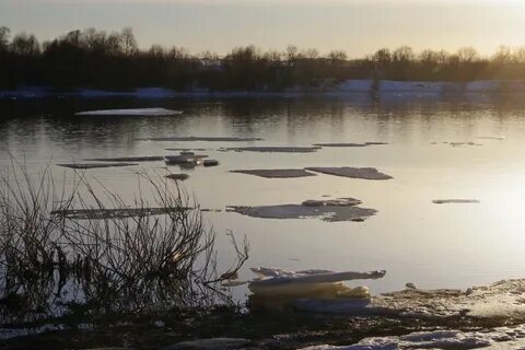 Вода в оке муром