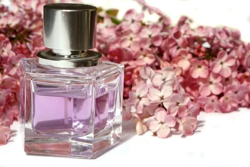 Духи lilac. Духи сирень. парфюм с ароматом сирени. духи с ароматом сирени. духи с запахом сирени.