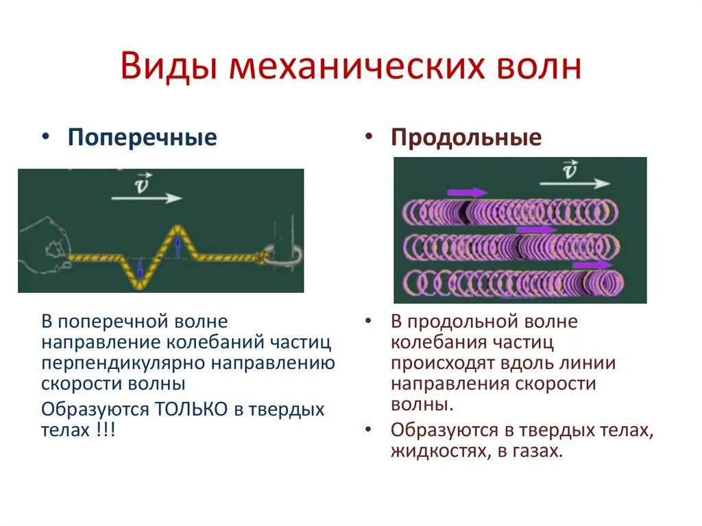 Звуковые волны являются продольными. Механические волны характеристики волн. Механические волны формулы продольные и поперечные. Механические волны продольные и поперечные волны. Механические волны продольные и поперечные таблица.