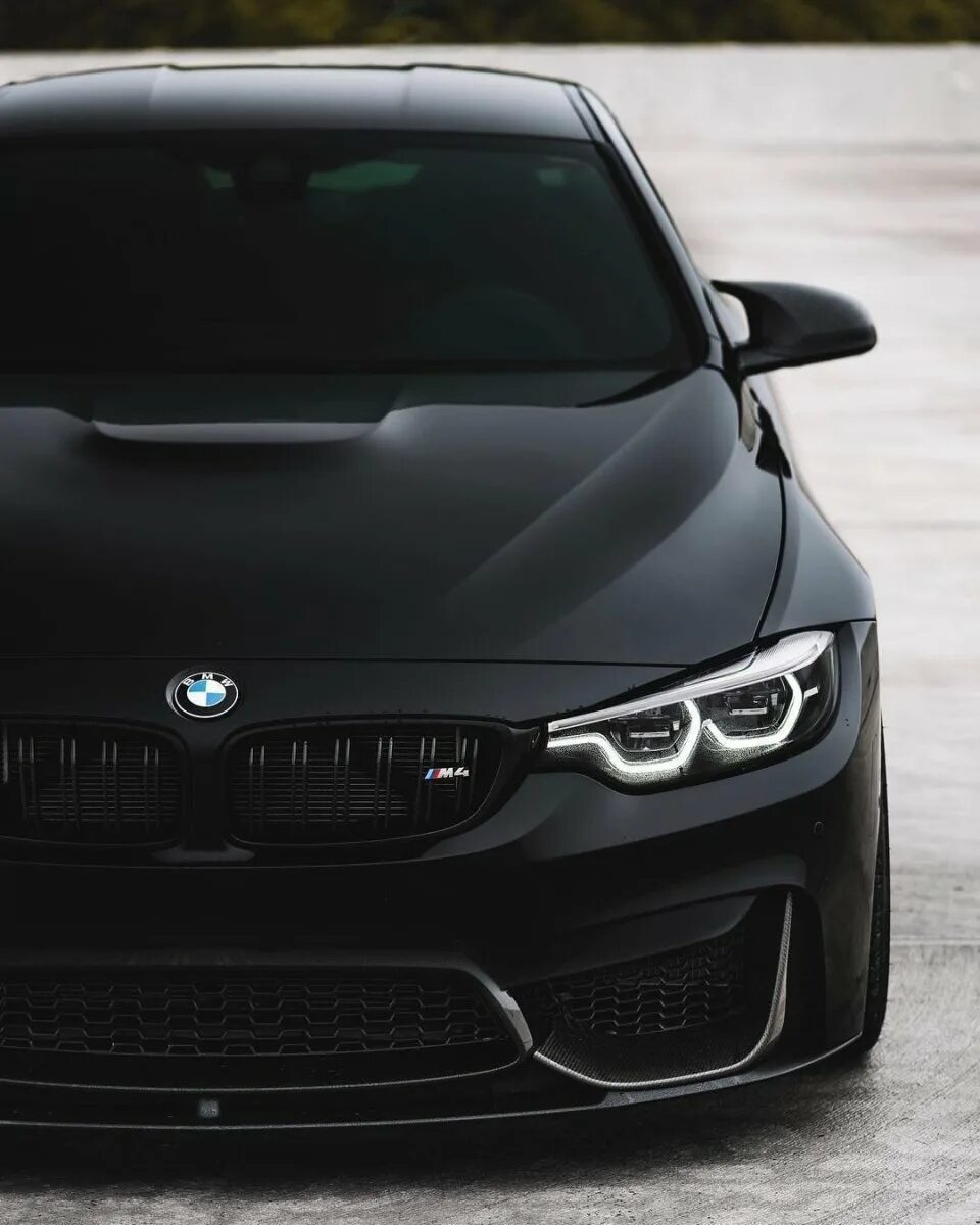 Черный б м в. BMW m4 f82 Black. BMW m4 Coupe черный. BMW m4 f82 черная. БМВ м4 черная матовая.