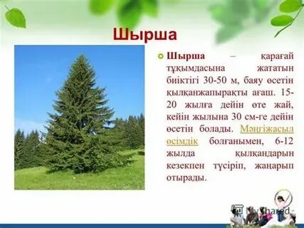 волосатые письки бар әйелдерге нақты үлкен сиськи видео