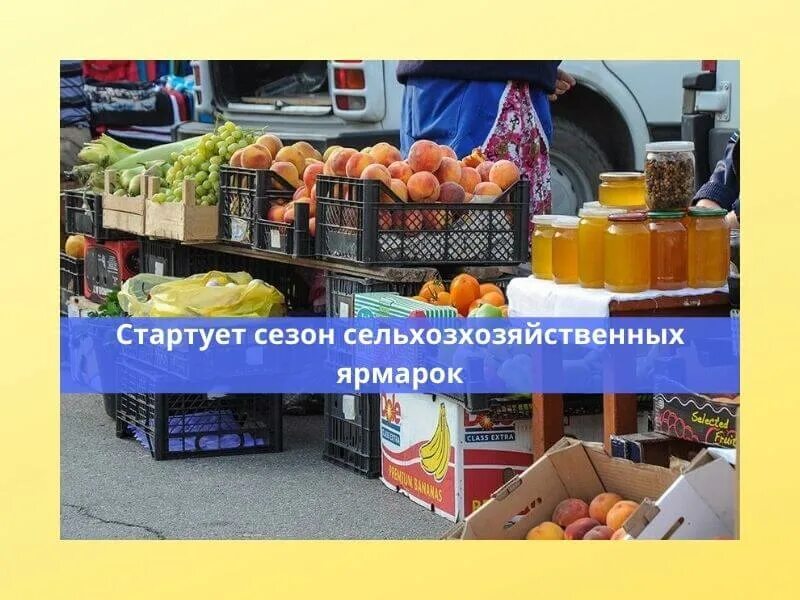 Метро 1905 года ярмарка выходного дня. Сезонная ярмарка. Ярмарка выходного дня в рыбнице. Ярмарка выходного дня в москве в 2021 году. Ярмарка выходного дня в краснодаре.