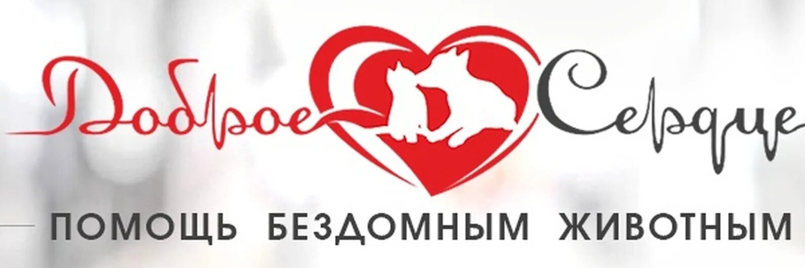 Помощь бездомным животным елец