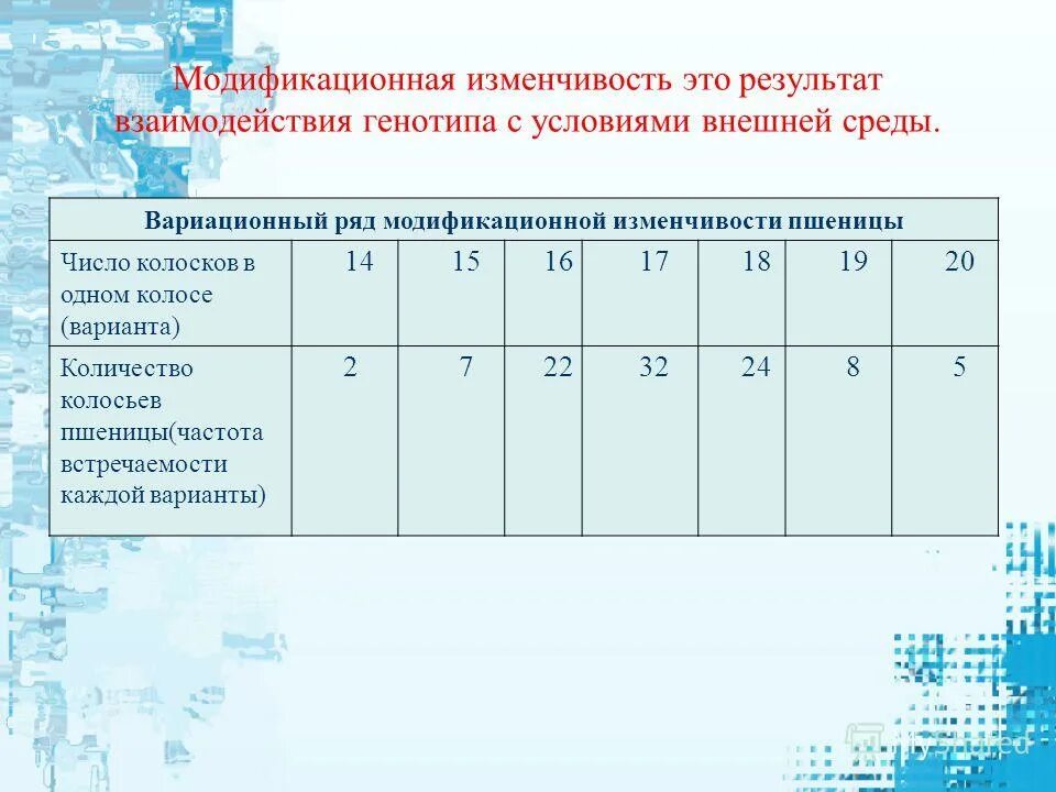 Лабораторная работа модификационная изменчивость 10 класс биология. Вариационный ряд модификационной изменчивости. Вариационный ряд пшеницы. Лабораторная работа модификационная изменчивость.