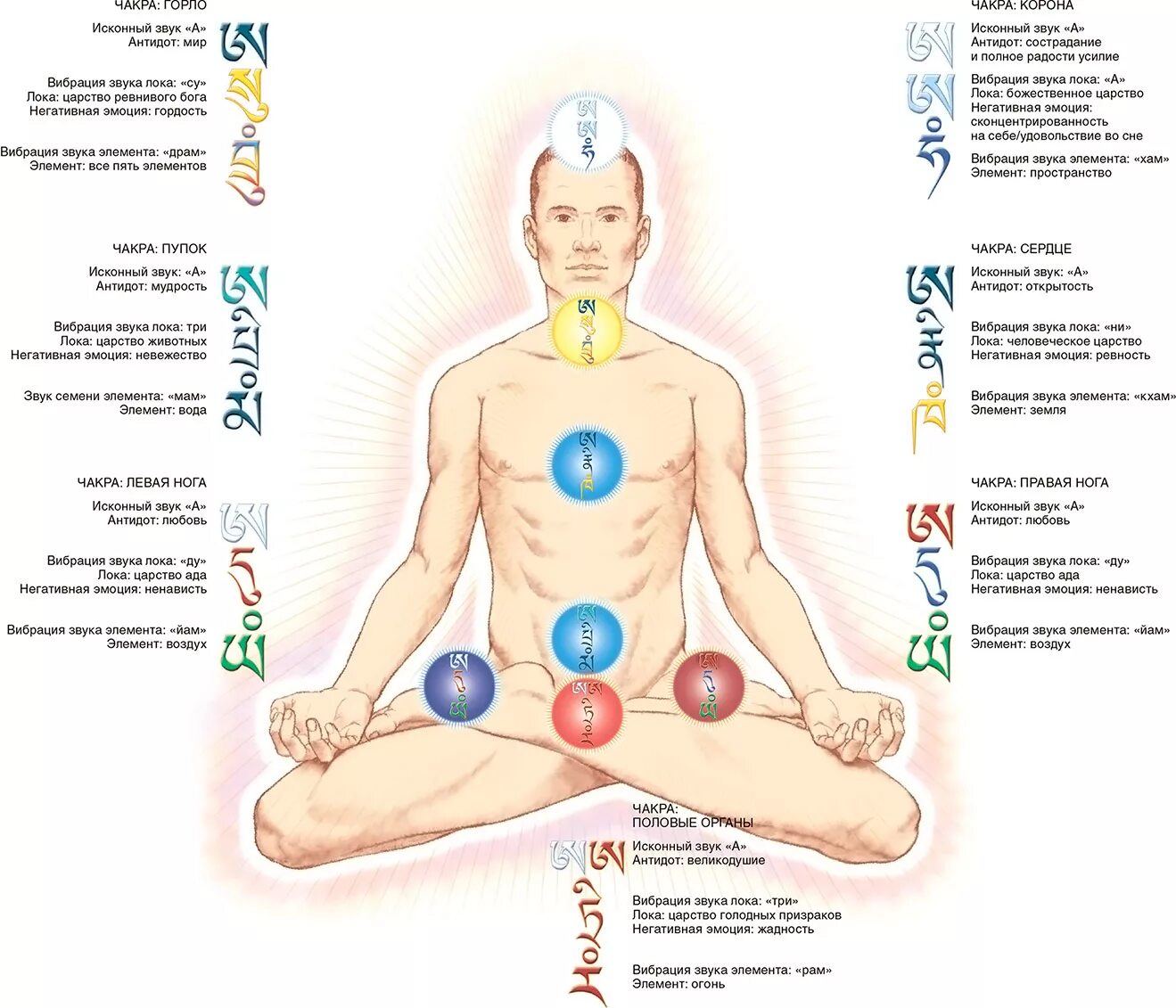 Чакры эмоции. Чакры эмоции. Цвета энергетических центров. Чакры расположение на теле. Энергетические уровни человека чакры.