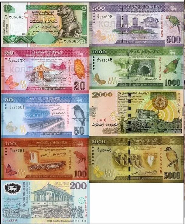 Валюта на Шри Ланке. Шри ланкийские рупии банкноты. Шри Ланка рупия 5000 2023. Деньги Шри Ланки.