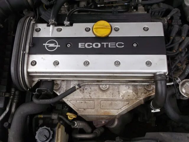 Опель вектра б x18xe1. Мотор Opel Vectra b 1.8 x18xe 1. Двигатель на Opel Vectra b 1 8 x18xe. Опель Вектра в двигатель x18xe 1.8. Двигатель Опель Вектра б 1.8 x18xe.