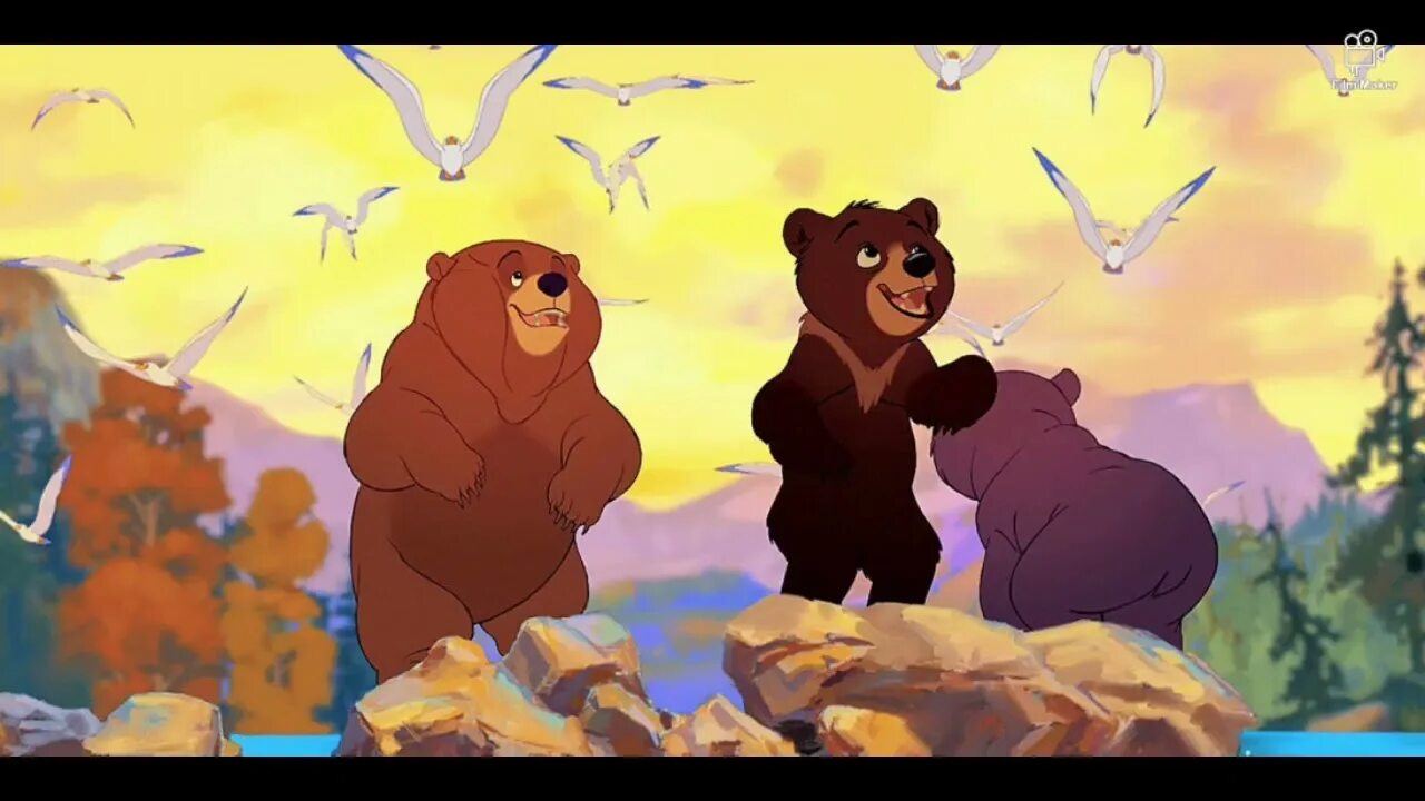 Братец медвежонок. My bear brother. Братец медвежонок кинай. Дисней братец медвежонок 2. Братец медвежонок кенай медведь.