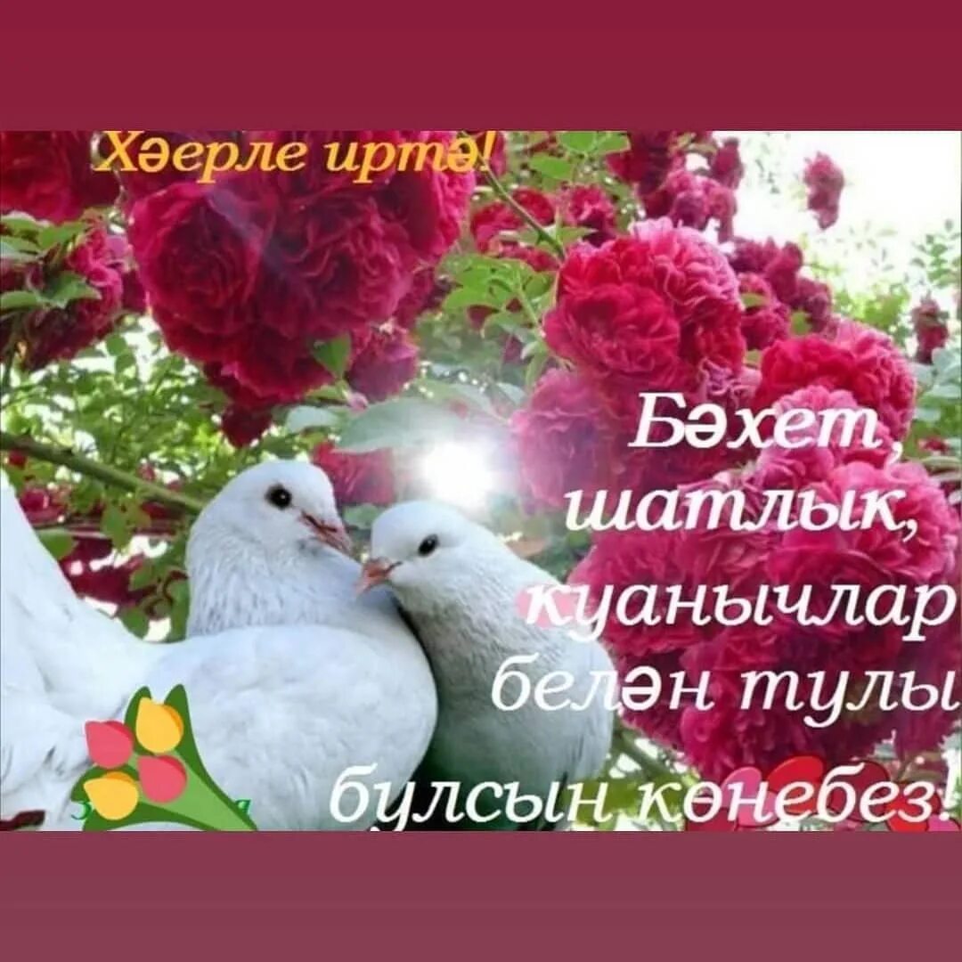 Картинки хәерле. Хэерле кон. Сердэшлэр. Открытки Хәерле иртә на татарском. Открытки хэерле иртэ на татарском языке красивые.