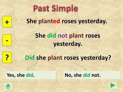 Wordwall past simple 5 класс