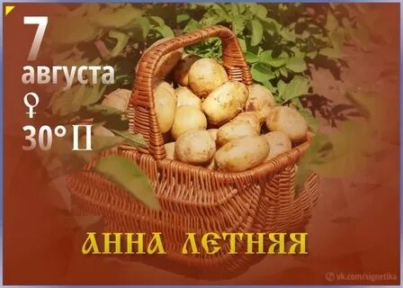 Анечка на августовских