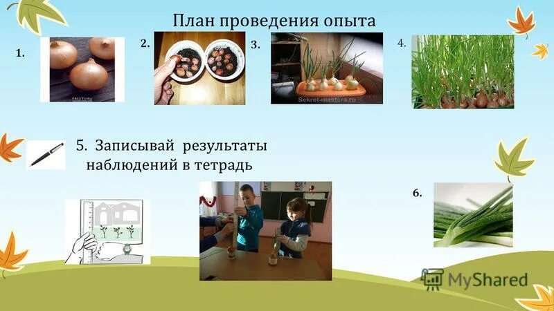 запиши результат опыта 3 на с 27 учебника ч. измерение силы тока и напряжения таблица. таблица эксперимента. белки качественные реакции на белки. цель опыта с магнитом.